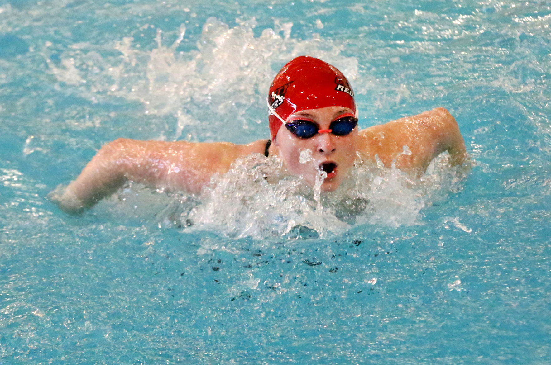 Ocean City Ridley Swimming